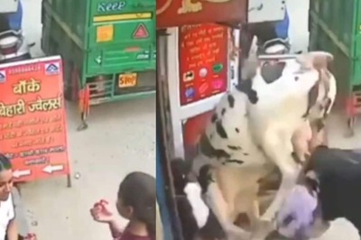 Watch: Two Girls, Enjoying Street Snack, Get Injured In Horrific Cow Fight