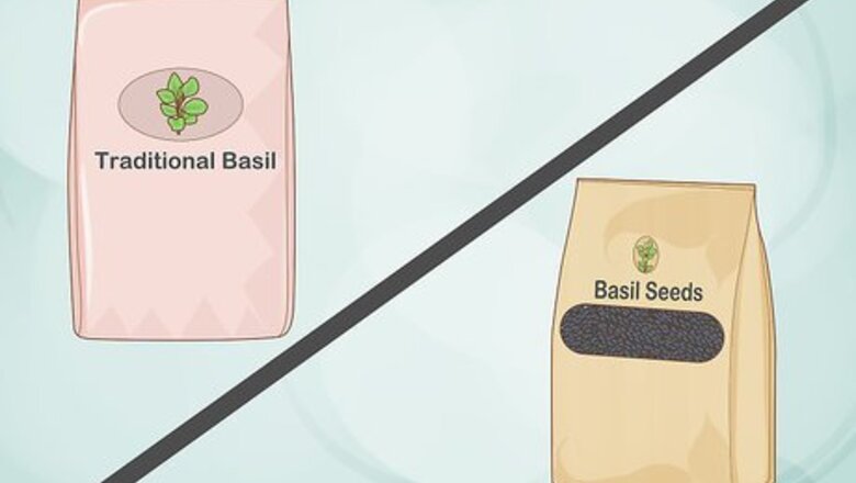 How to Grow Basil Indoors