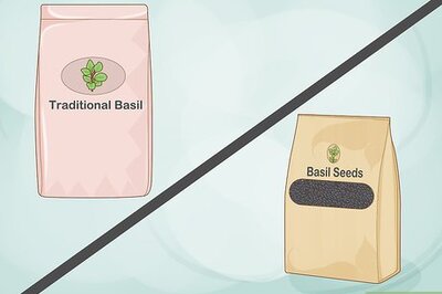 How to Grow Basil Indoors