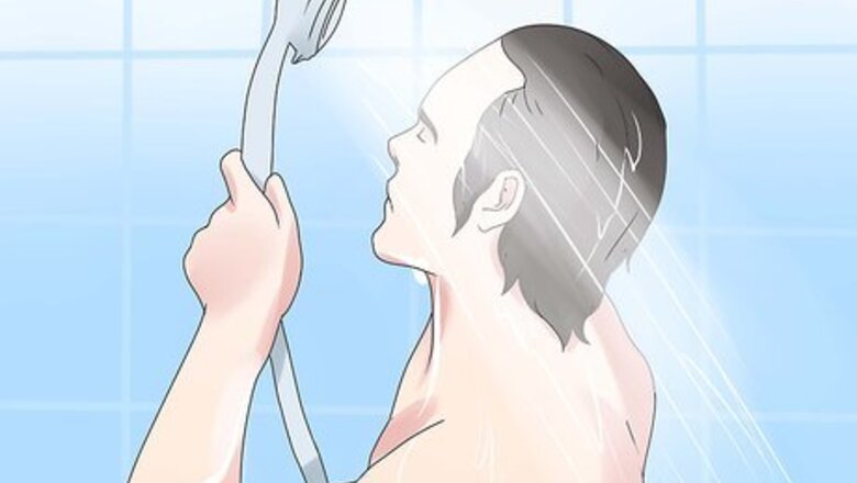 How to Harvest a Bee Hive from the Wilderness