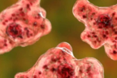 'Brain-Eating' Amoeba Claims Life Of 14-Year-Old In Kerala. Here's All You Need To Know