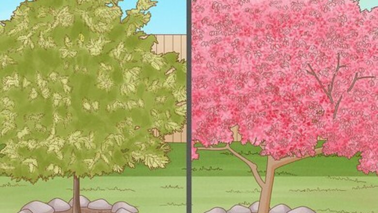 How to Plant Landscape Plants