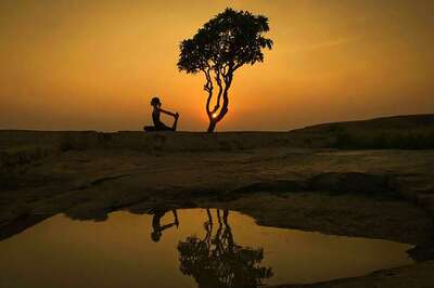 Yoga Will Start Era of Harmony, Says PM Narendra Modi