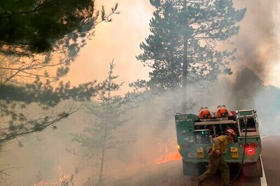 New Threat Emerges As Crews Fight Minnesota Wildfire: Bears