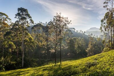 7 weekend destinations you can afford when Rs 5000 is what you are willing to spend on a holiday