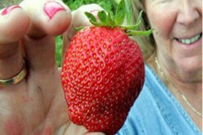 Teenagers hit by soap opera virus