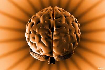 Human brain picks a new word within 15 mins