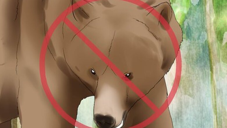 How to Approach an Injured Animal