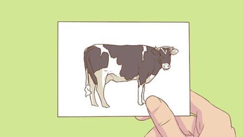 How to Go Vegetarian Without Going Hungry