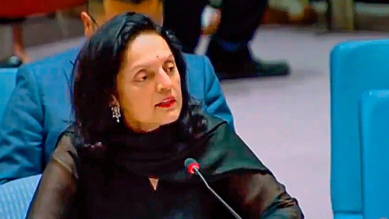‘Civilian Deaths Unacceptable’: India Tells UN on Gaza War, Urges All Sides to Prevent Escalation