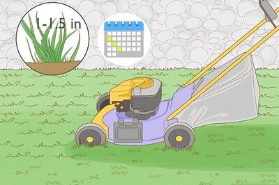 How to Make Bermuda Grass Thicker, Fuller, and Greener: A Complete Lawn Care Guide