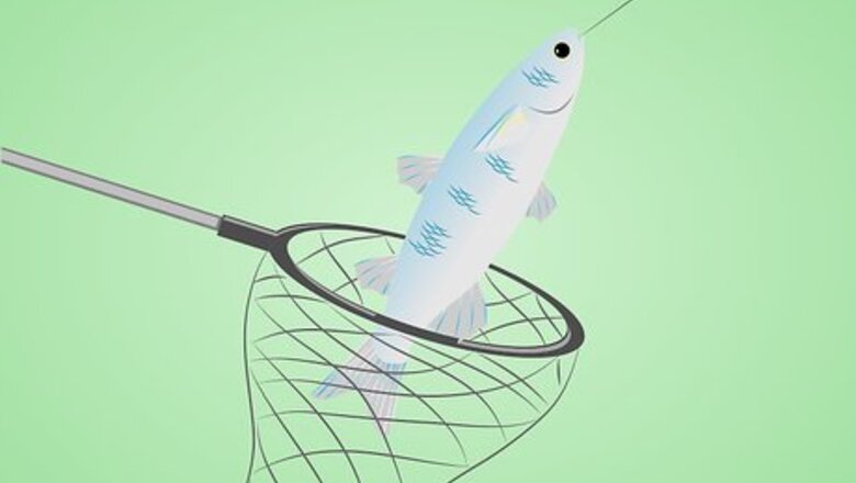 How to Net a Fish