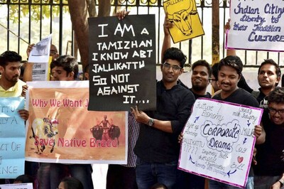 Jallikattu: Riding on Ordinance, Bull-taming Sport Makes Bloody Return in TN; Protesters Stand Ground