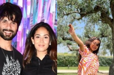 Shahid Kapoor, Mira Rajput Throw Fun-Filled Birthday Party for Daughter Misha as She Turns 6