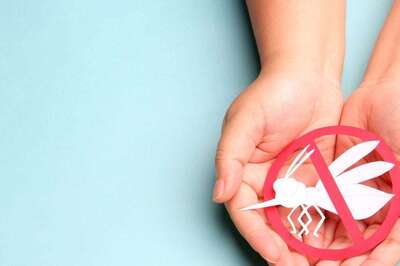 Preventing Mosquito-Borne Diseases: Practical Steps to Reduce Mosquito Breeding