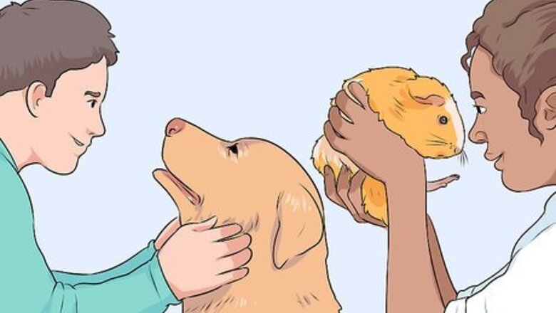 How to Make a Pet Love You