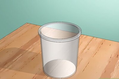 How to Look After a Pet Woodlouse