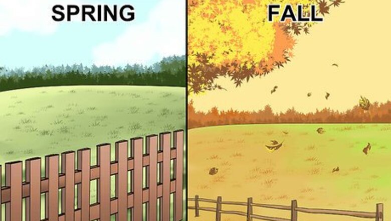 How to Grass Feed a Horse