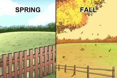 How to Grass Feed a Horse