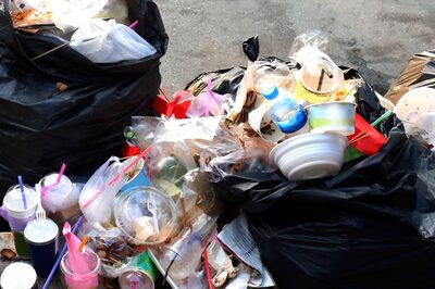 65% Waste Pickers Have No Formal Education, Number Higher Among Disadvantaged Groups: UNDP