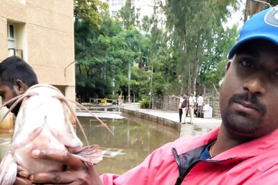 In Viral Pic, Bengaluru Residents Catch Fish In Flooded Basement