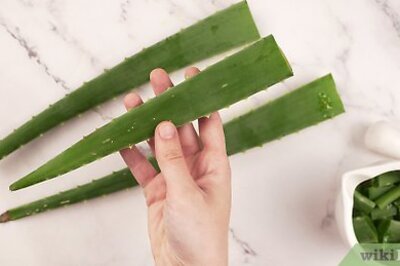 How to Eat Aloe Vera