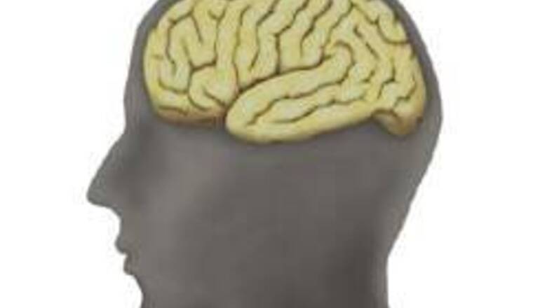 Human brain works like a digital computer