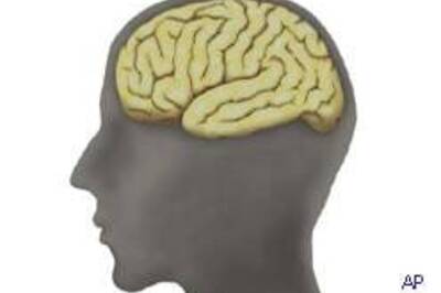 Human brain works like a digital computer