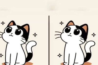 These 2 Identical Cat Photos Have 3 Differences; Can You Spot Them In 9 Seconds?