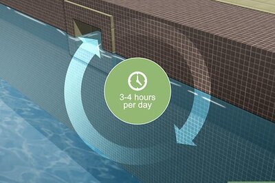 How to Keep Bugs Out of a Pool