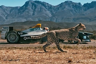 Cannes Film Festival 2018 - Formula E's Cheetah vs Racecar Video Bags Best Short Film Award
