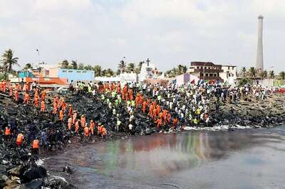 Chennai Oil Spill: DG Shipping Orders Probe; Over 2,000 Personnel Clear Slick