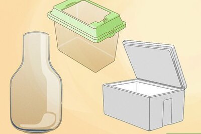 How to Grow Edible Mushrooms at Home