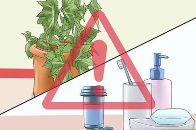 How to Make a Kitten Feel at Home