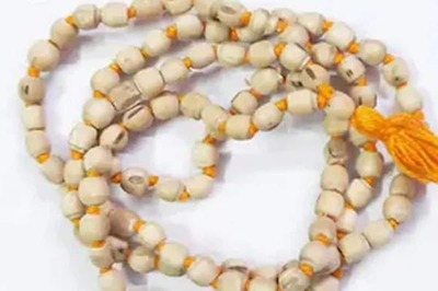 Astrologer Shares 3 Points To Remember Before You Wear Tulsi Garlands