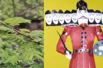 Dussehra 2024: Know The Significance And Rituals Related To Shami Tree During This Festival