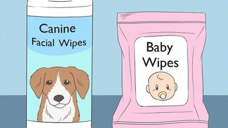 How to Clean a Pug's Facial Wrinkles