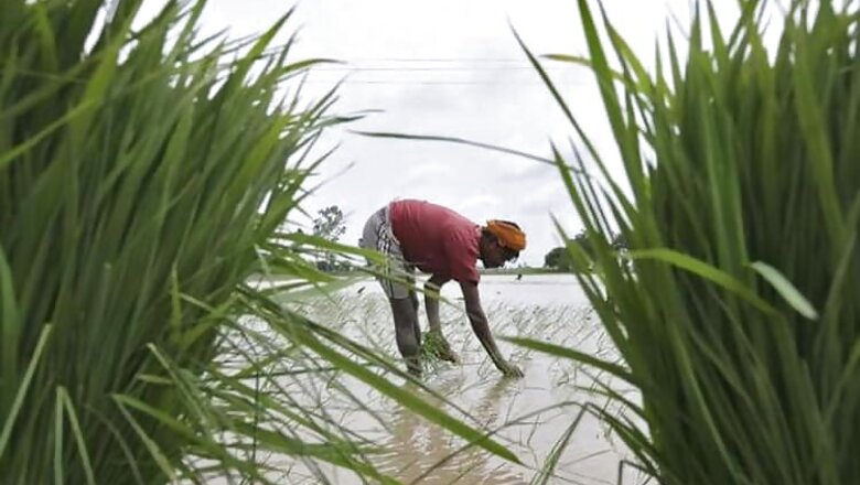 Narendra Modi seeks quick boost to irrigation as drought looms