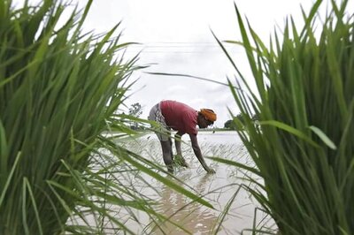 Narendra Modi seeks quick boost to irrigation as drought looms