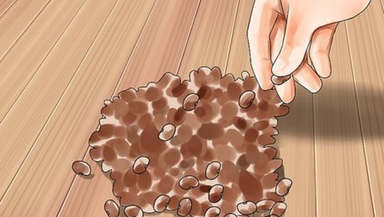 How to Can Beans