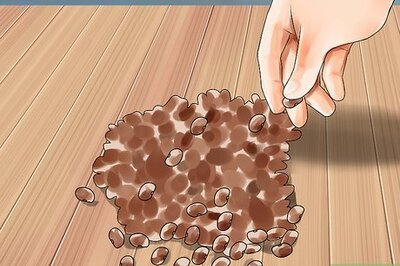 How to Can Beans