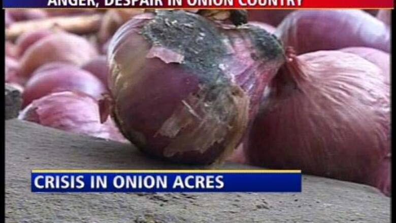 Onion free on purchase of tyre!