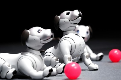 Sony Revives Pet AI Project With Updated AIBO Robot Dog