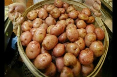 Food inflation up at 17.47 pc, Onions still costly