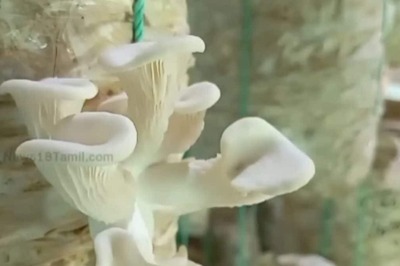 This Tamil Nadu Engineering Graduate Grows Mushrooms In Hilly And Cold Regions