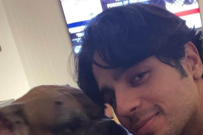 Sidharth Malhotra Mourn His Dog Oscar's Death; Kiara Advani And Alia Bhatt Send Love