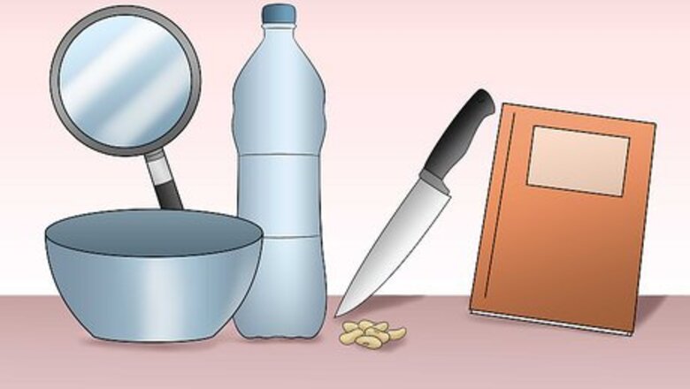 How to Perform a Bean Seed Dissection Experiment