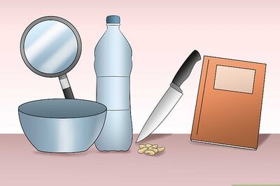 How to Perform a Bean Seed Dissection Experiment