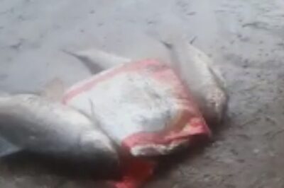 People Seen Fishing in Floodwaters as Hundreds of Villagers Affected by Heavy Rains in Telangana