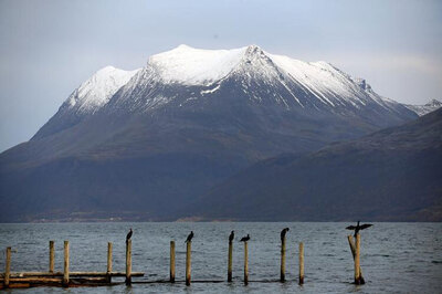 Arctic air temperatures highest since 1900: report